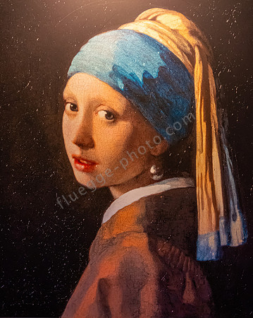 Vermeer Centrum in Delft