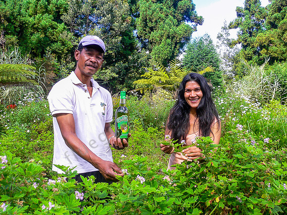Geranium-Plantage auf La Réunion, Besitzerin Isabelle Euphrosine mit Arbeiter und einer Flasche Geranien-Öl
