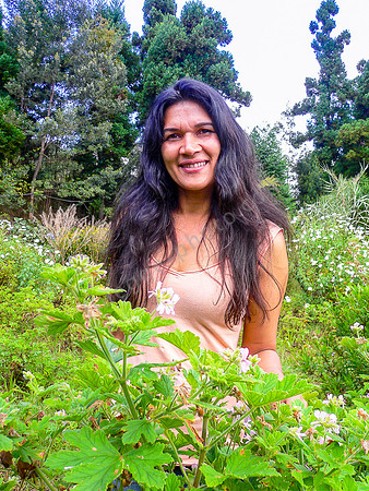 Geranium-Plantage La Réunion, Besitzerin Isabelle Euphrosine