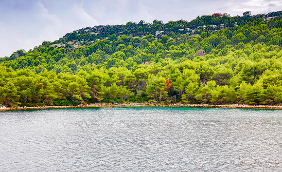 Grüne Insel in Süddalamtien