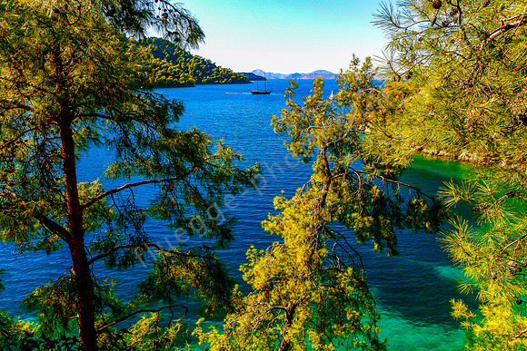 Hillside Beach Hotel