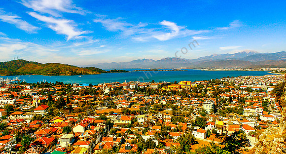 _MG_3463