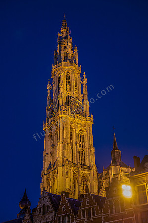 _MG_5490