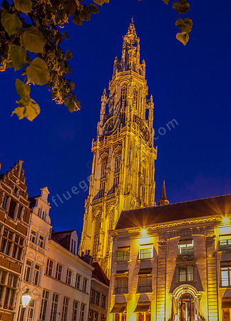_MG_5506