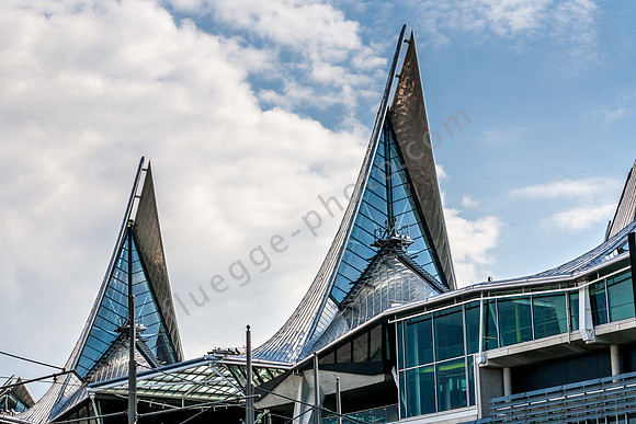 _MG_5807