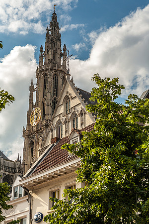 _MG_5449