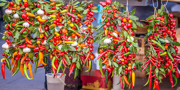 _MG_9194 2 (1)