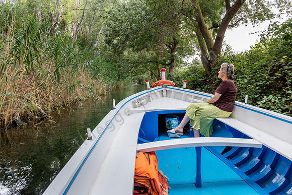 Ciane-Fluss: Bootstour zum Papyrus.