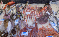 Fischmarkt in Palermo