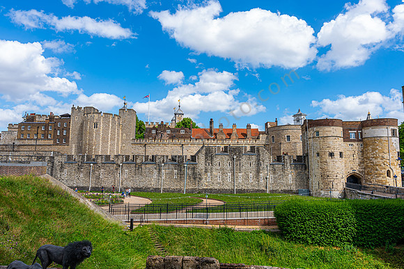 _A7R2991