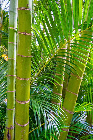Lakaz Chamarel Exclusive Lodge
