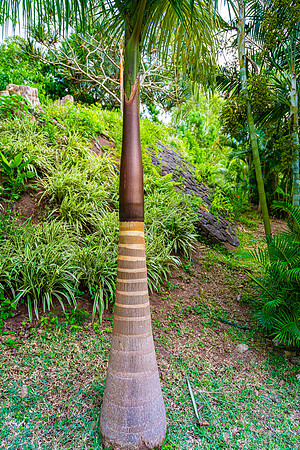 Lakaz Chamarel Exclusive Lodge