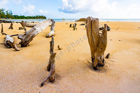 Impressionen Mauritius