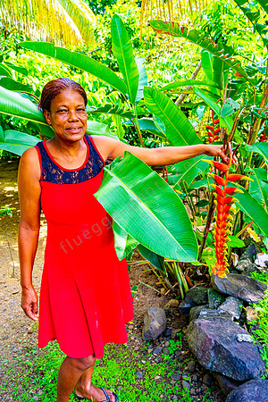 Aromaöl-Distillerie Ylang Ylang in Anse Jonchée