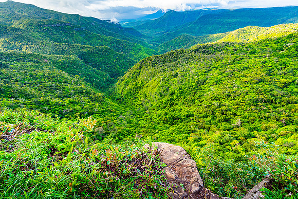 Black River Gorges National Park
