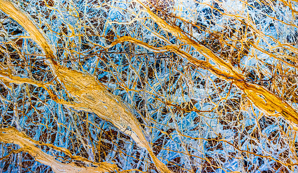 _DSC8344