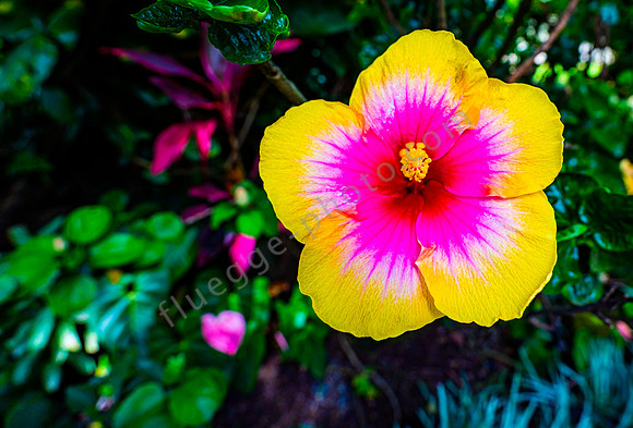 _DSC8656