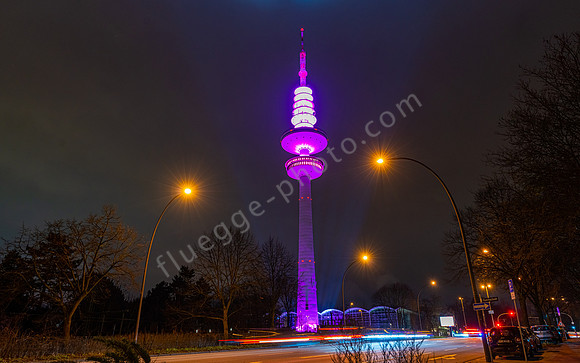 _DSC2310