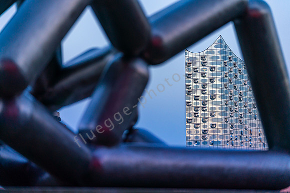 _DSC2038