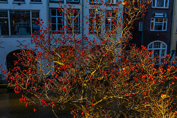 Utrecht