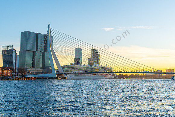 Erasmaus-Brücke in Rotterdam