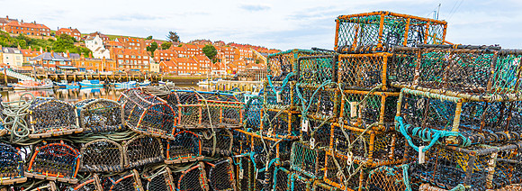Reusen Whitby