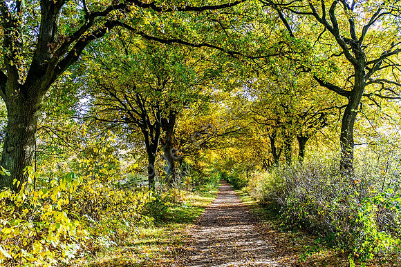 Herbstimpressionen