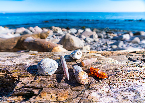 _DSC4265