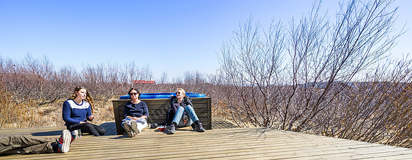 _DSC0225