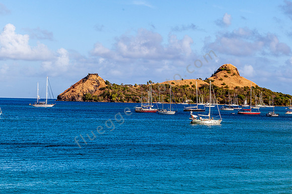 _MG_0698