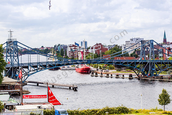 _MG_2186