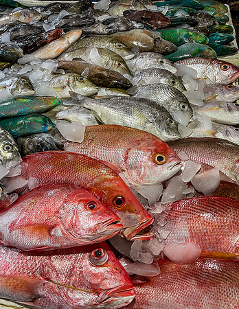 Fischmarkt in Banda Neira