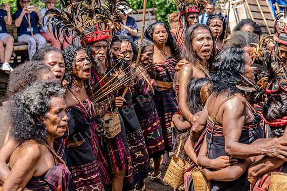Traditionelles Dorf Tapkala des Abui-Stammes auf Alor