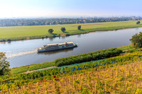 Dresden