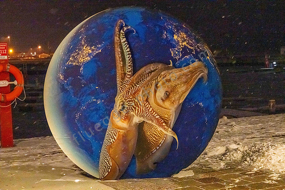 Kunst im Noblessner-Hafenviertel in Tallinn