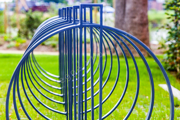 _MG_2008