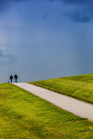 _MG_2004