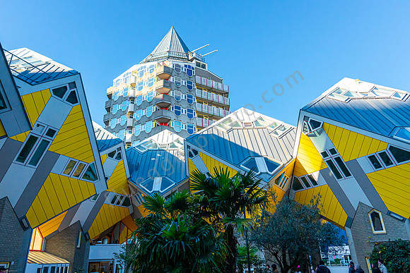 Kubushäuser in Rotterdam