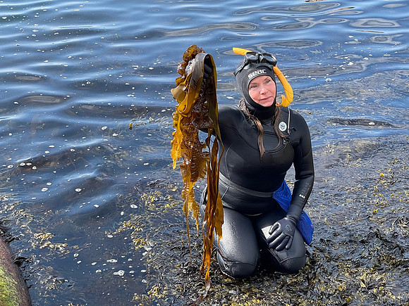 Seetang-Taucherin Linnea Sjögren bei der Seetang-Safari in Bohuslän